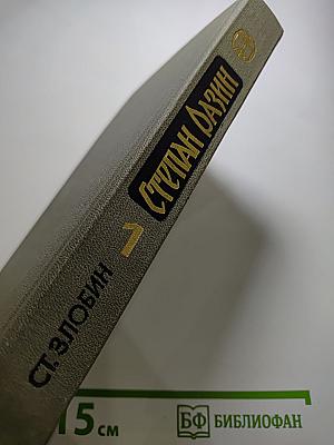 Степан Разин. Книга первая