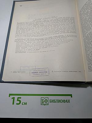 Экономическая Энциклопедия. Политическая экономия. Том 4: Социология - Я