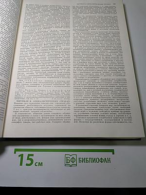 Экономическая Энциклопедия. Политическая экономия. Том 4: Социология - Я