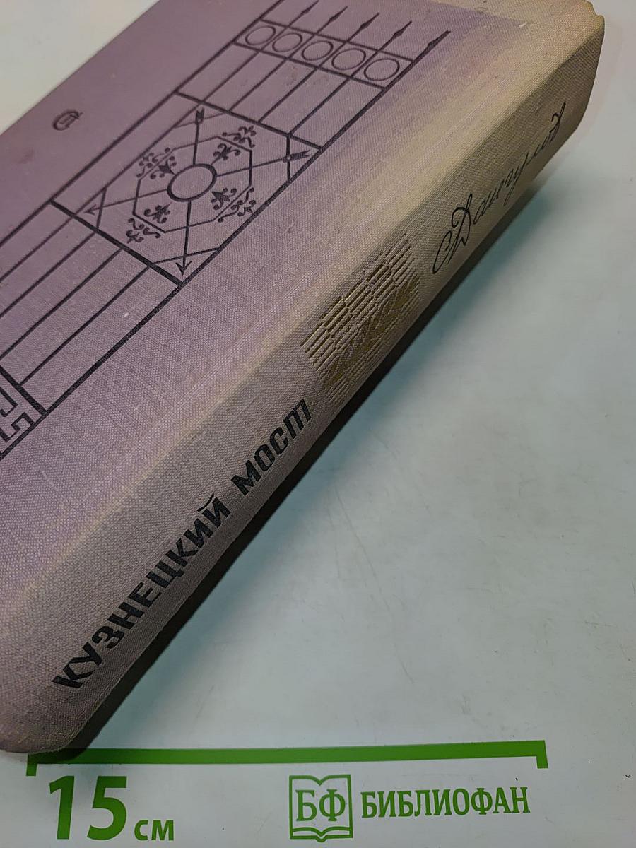 Кузнецкий мост. Первая и вторая книги