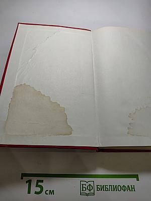 Анжелика и ее любовь