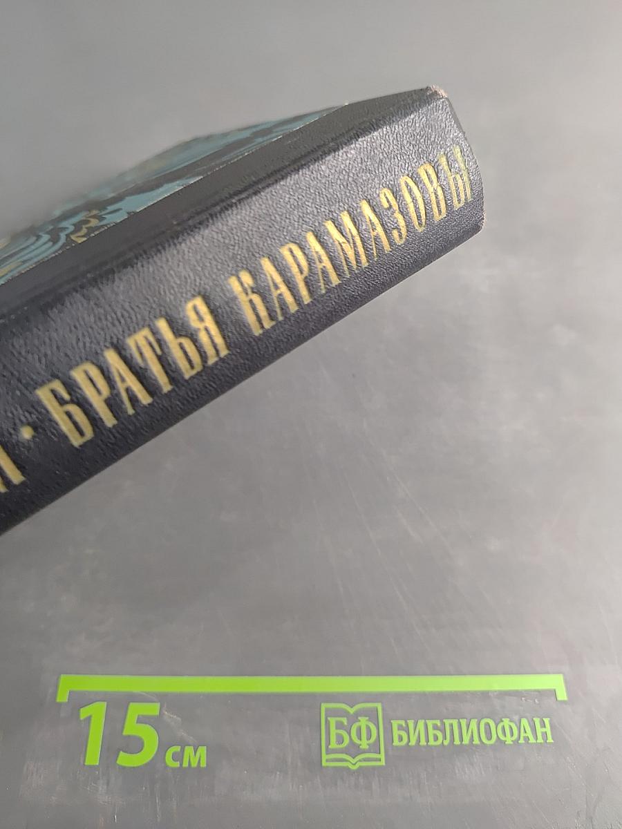 Братья Карамазовы. Роман в четырех частях с эпилогом. Том второй. Часть III-IV. Эпилог