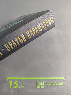 Братья Карамазовы. Роман в четырех частях с эпилогом. Том второй. Часть III-IV. Эпилог