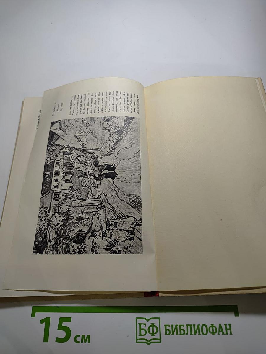 Vincent van Gogh: Sein Leben in Bildern