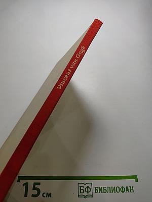 Vincent van Gogh: Sein Leben in Bildern