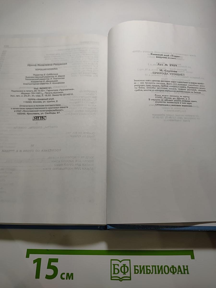 Хорошая хозяйка