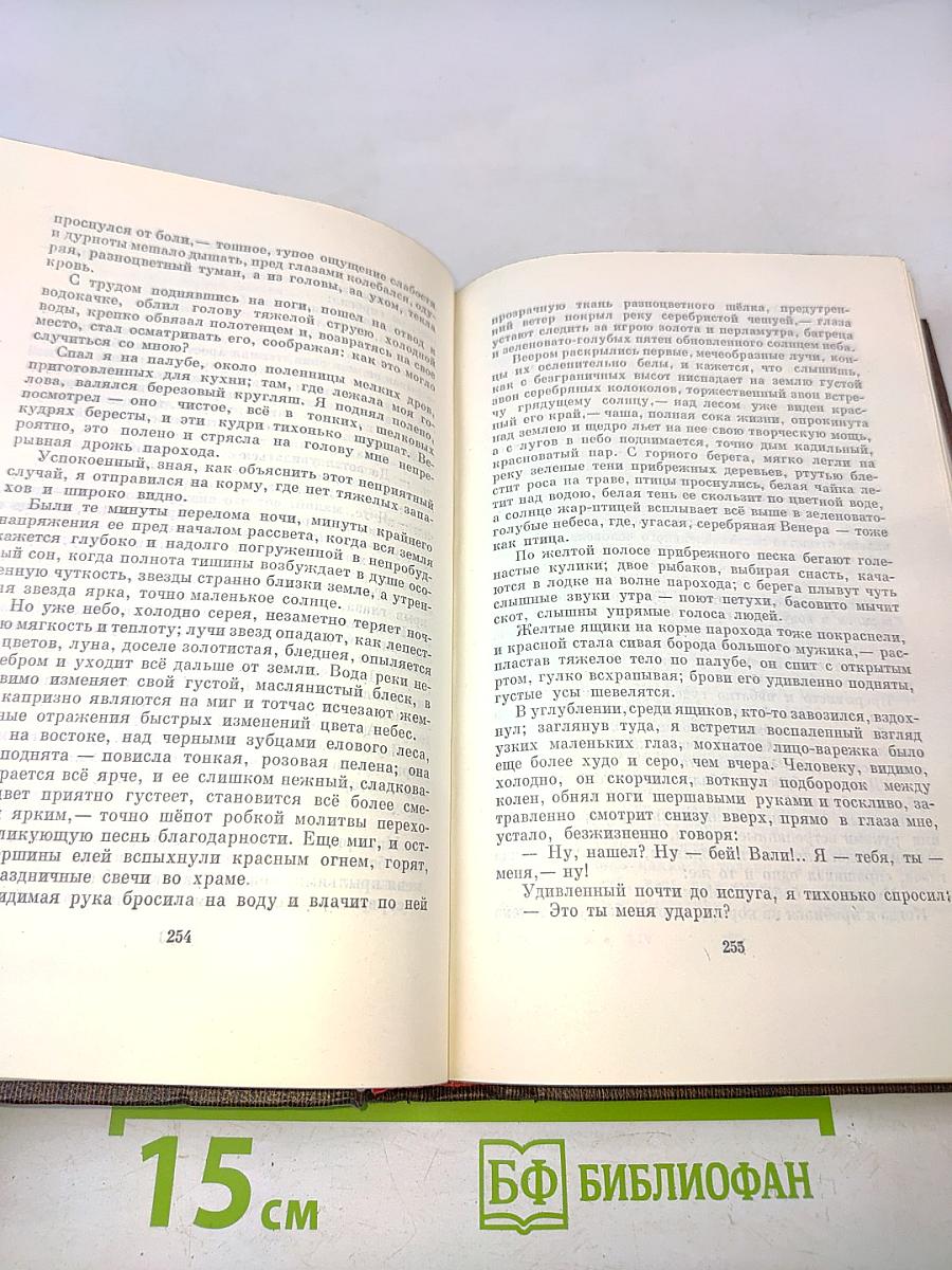 Полное собрание сочинений. Художественные произведения в двадцати пяти томах. Том четырнадцатый. Повесть, рассказы 1912-1917