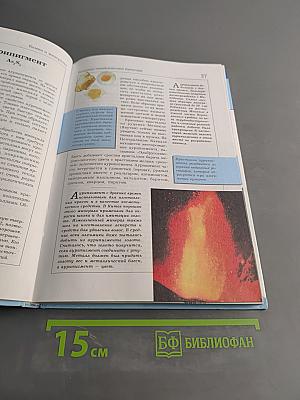 Большая энциклопедия природы. Камни и минералы. Том 12