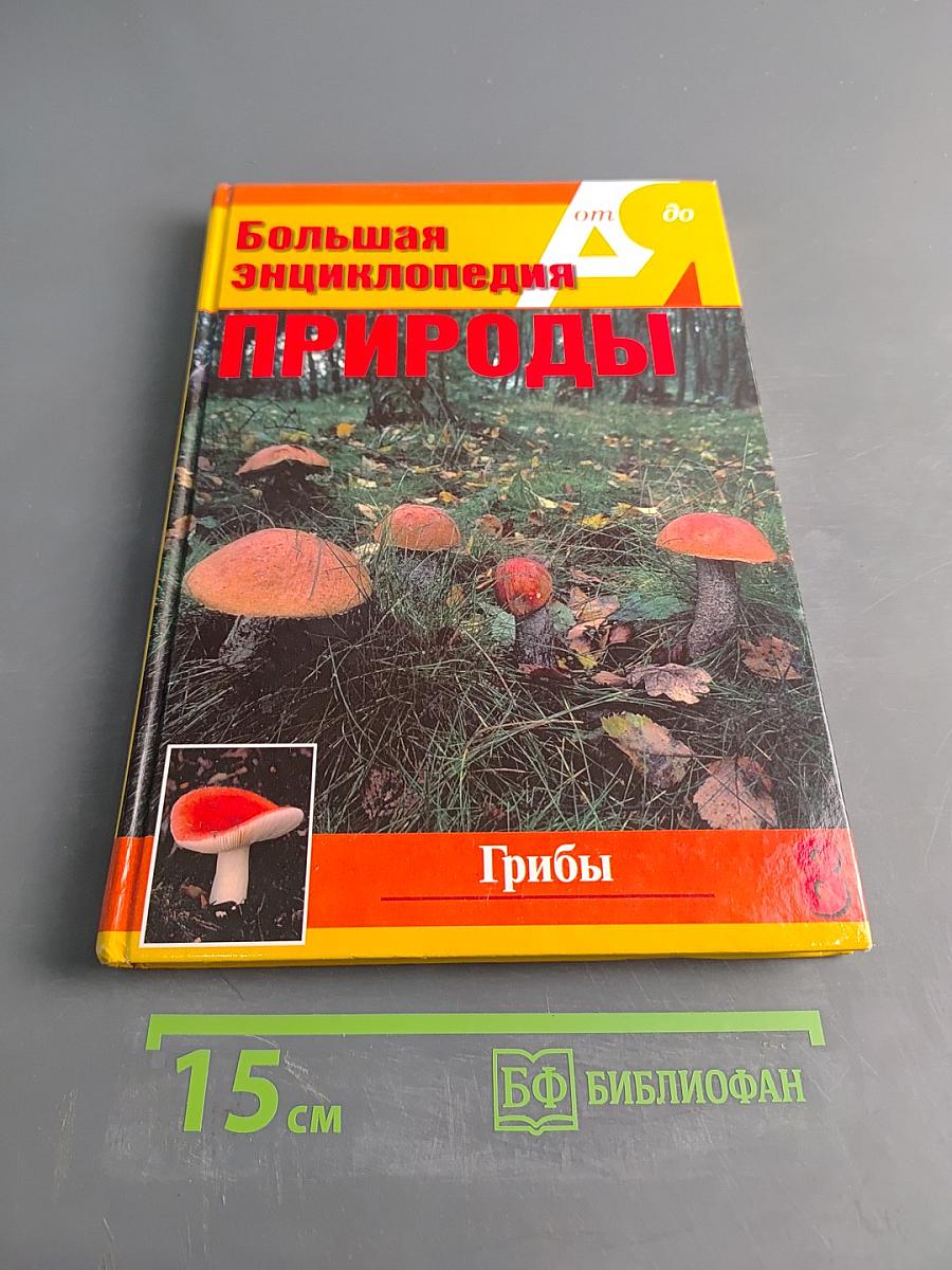 Большая энциклопедия природы. Грибы