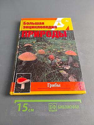 Большая энциклопедия природы. Грибы