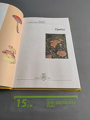 Большая энциклопедия природы. Грибы