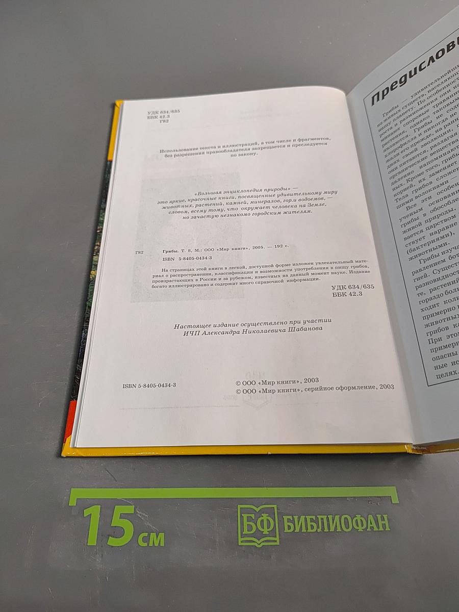 Большая энциклопедия природы. Грибы