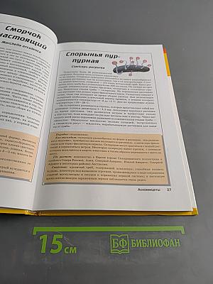 Большая энциклопедия природы. Грибы