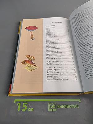 Большая энциклопедия природы. Грибы