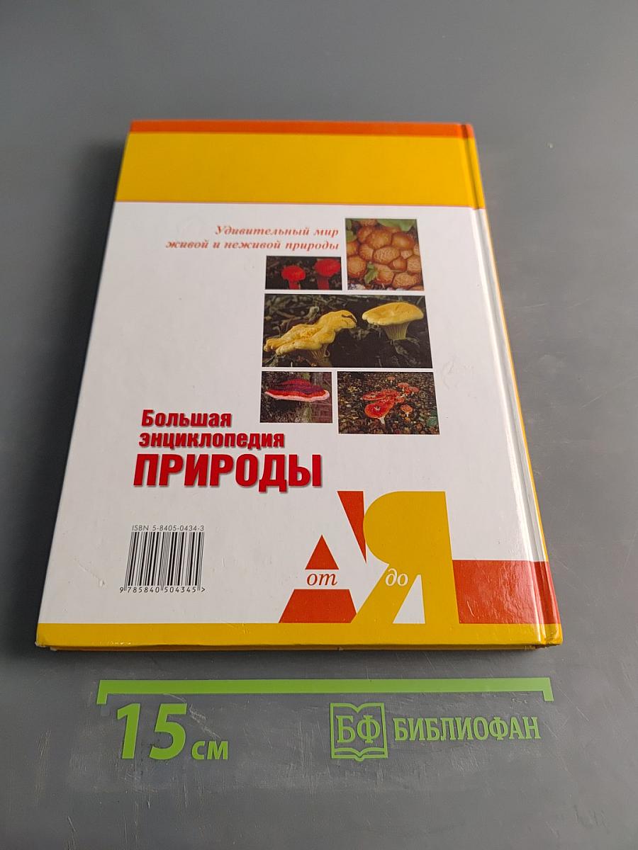 Большая энциклопедия природы. Грибы