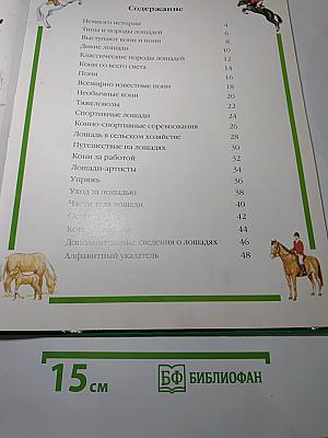 Эти удивительные лошади и пони: за работой, в игре и в спорте