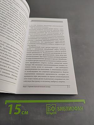 Жизнь без простатита и аденомы