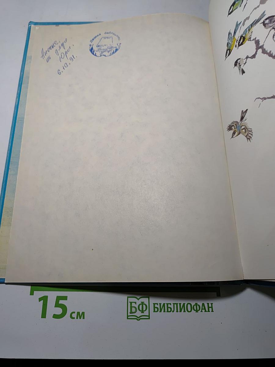 Доверчивая белка. Рассказы