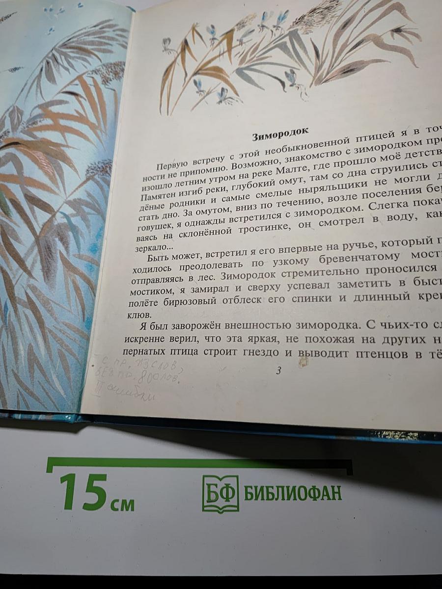 Доверчивая белка. Рассказы