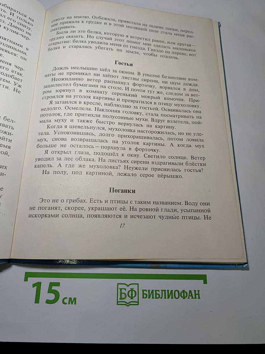 Доверчивая белка. Рассказы