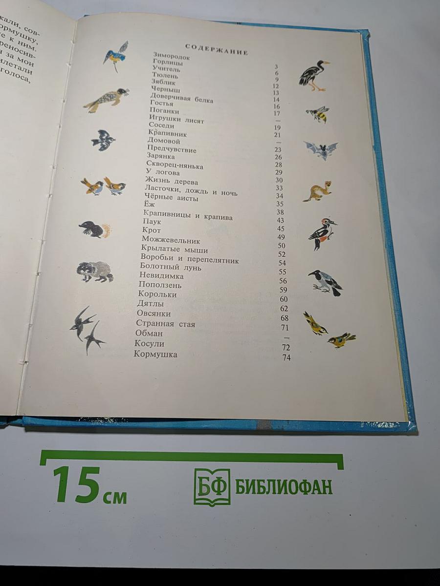 Доверчивая белка. Рассказы