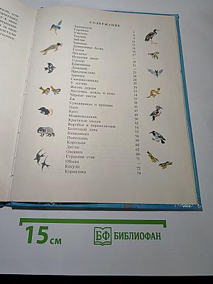 Доверчивая белка. Рассказы
