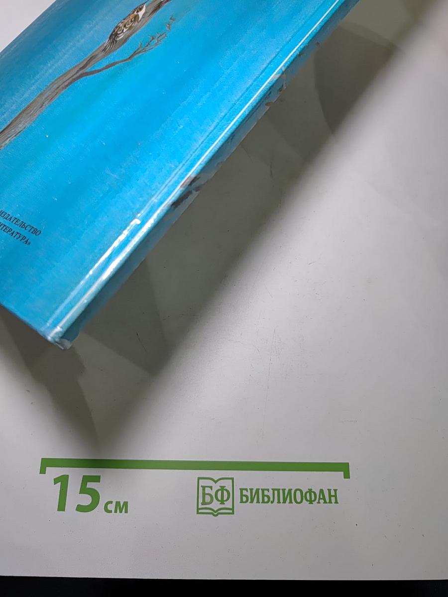 Доверчивая белка. Рассказы