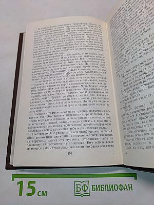 Литература в поисках реальности