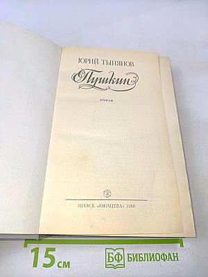 Пушкин