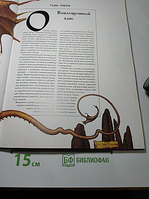 Драконы