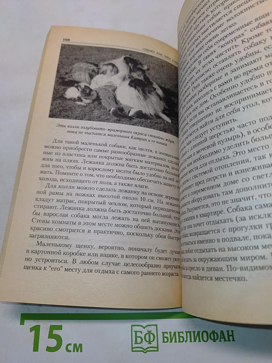 Колли и шелти