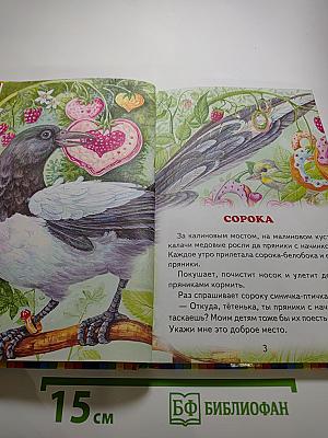 Сорочьи сказки