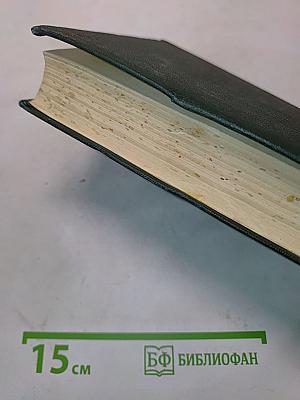 Собрание сочинений. Том двадцать пятый. Наш общий друг. Книга третья и четвертая