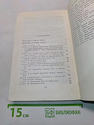 Собрание сочинений. Том тринадцатый. Торговый дом Домби и сын