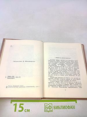 Перед праздником
