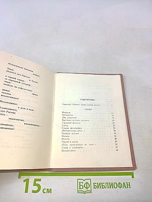 Перед праздником