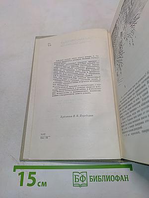 Блокада. Роман. Книга 1