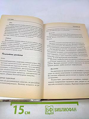 Фэн-шуй по-русски: Традиционные русские секреты привлечения любви, благосостояния и здоровья