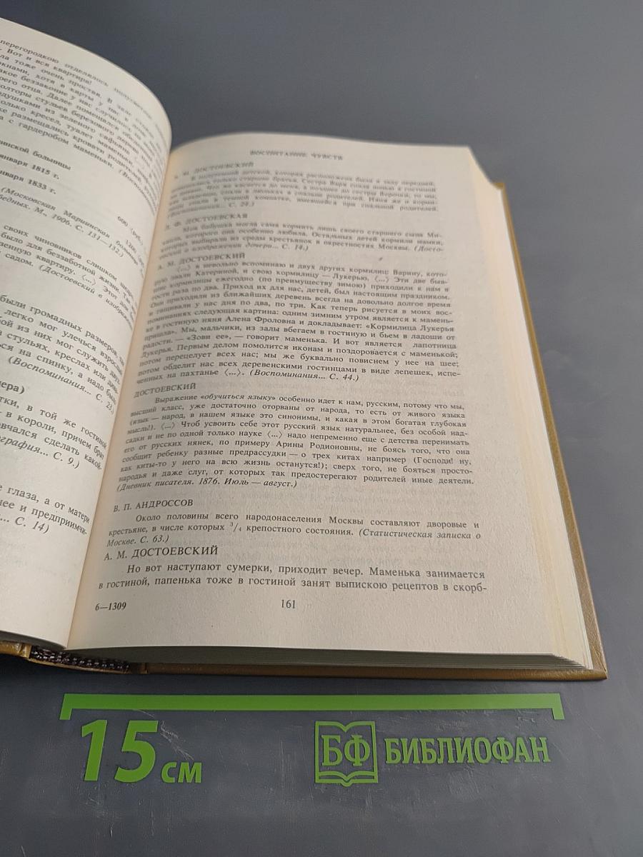 Писатели о писателях. Родишься в России