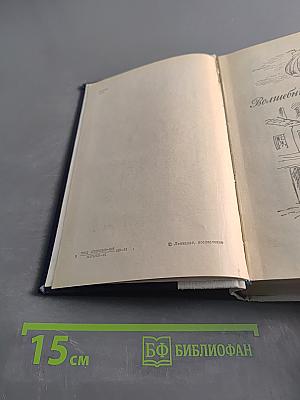 Волшебник из Гель-Гью. Под флагом Катрионы