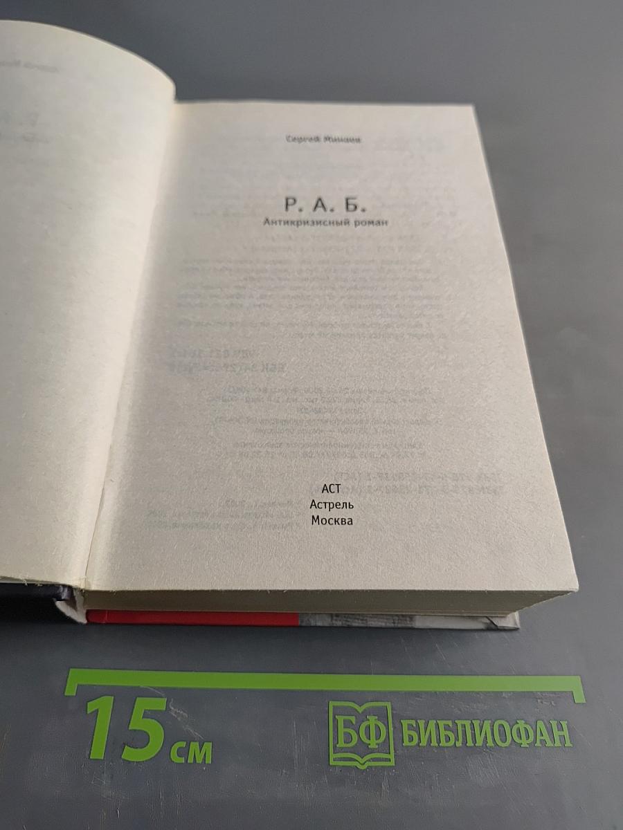 Р.А.Б. Антикризисный роман