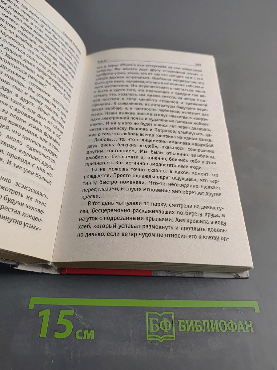 Р.А.Б. Антикризисный роман