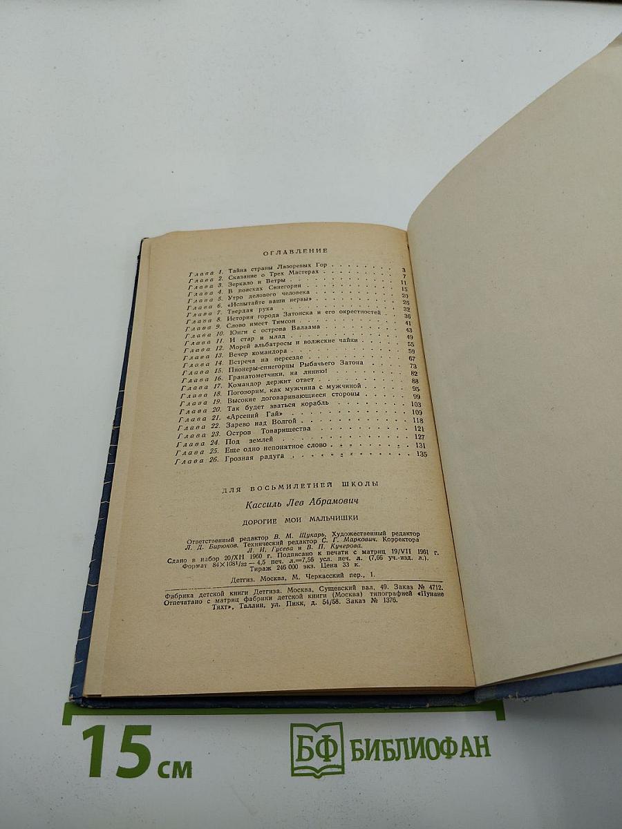 Дорогие мои мальчишки