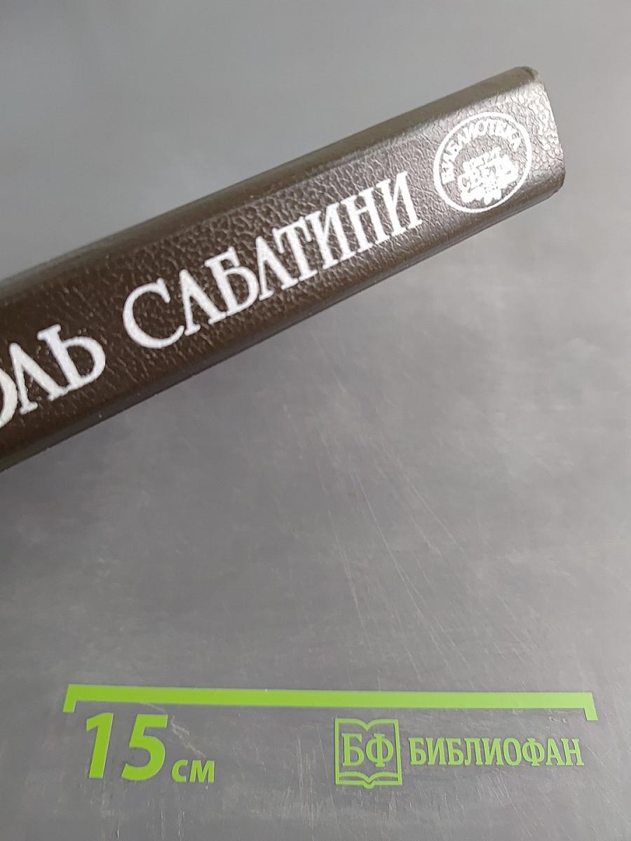 Любовь и оружие. Венецианская маска