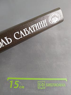 Любовь и оружие. Венецианская маска