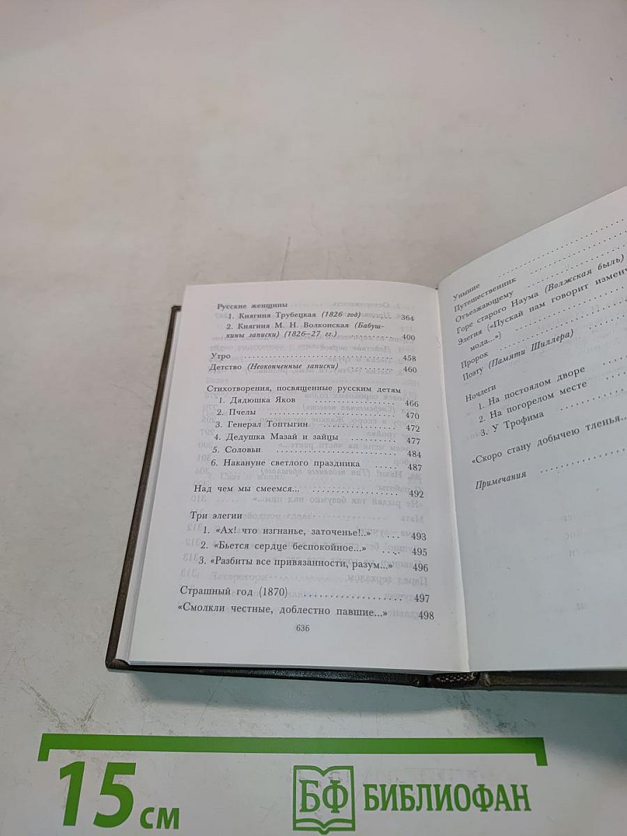 Стихотворения и поэмы. Том второй. 1861-1874