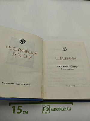 Рябиновый костер. Стихотворения