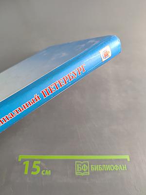 Муниципальный Петербург 2006. Местное самоуправление в Санкт-Петербурге