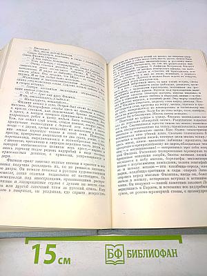 Похищение Европы. Санаторий "Арктур"