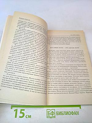 Здоровье ваших ног